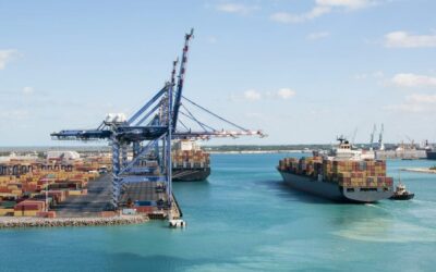 News Alert: U.S. Tariff Shakeup Expands Beyond Vietnam — Importers Face Steep Duties from 14 More Nations Starting August 1