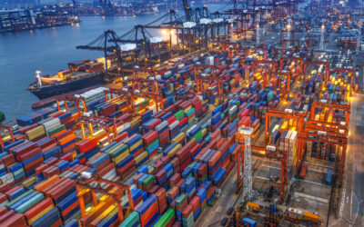 Analysis: Duty Drawback vs. FTZ – Which Makes More Sense for Your Business?