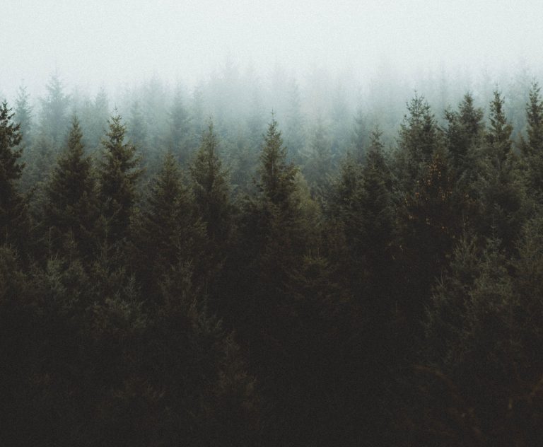 JMR 2021 Green Initiative Recap