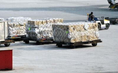 Supply Chain News: Asia-US Imports to Continue Surge in New Year, Will ILA Strike Again in January, Port Expansions and Slower Air Cargo Growth in ‘25
